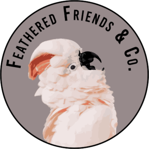 feathered friends and co logo
