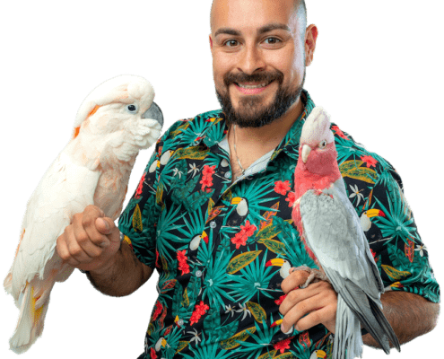 Marcus with birds
